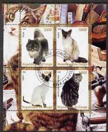 CONGO SHEET USED DOMESTIC CATS 