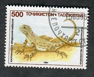 Tajikistan #72 Lizard used single