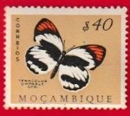 Mozambique SCOTT#368 1953 $40 ORANGE TIP BUTTERFLY - MNH