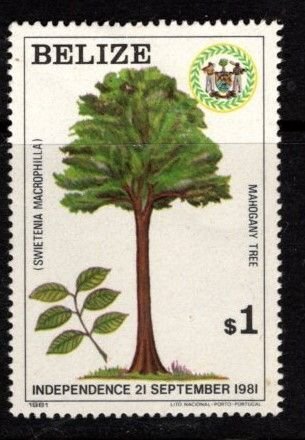 Belize - #598 Mahogany Tree  - MNH