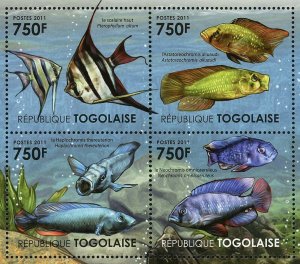 Ecosystem of Victoria Lake Stamp Freshwater Angelfish Fish S/S MNH #4177-4180