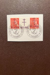 France pair with label between used on piece World War II local overprint lot #3