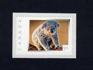 KOALA BEAR = 1.85 rate Personalized Picture Postage stamp Canada 2013 [p4r4/4]