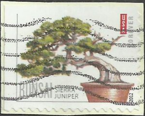 # 4618 USED SIERRA JUNIPER