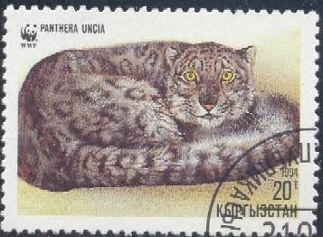 Snow Leopard, Panthera Uncia, Kyrgyzstan SC#30 used