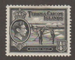 Turks & Caicos Islands 78 Raking salt