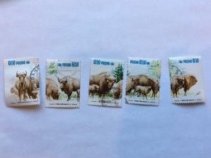 Poland – 1981 –Strip of 5 “Mammal” Stamps – SC# 2471a-e – CTO