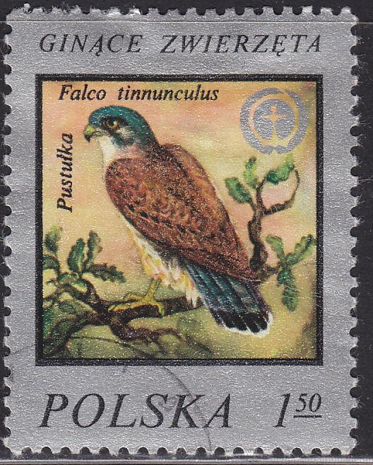 Poland 2217 Kestrel 1.50zł 1977