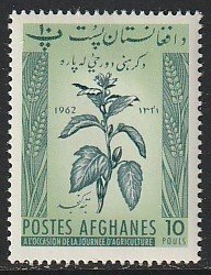 1962 Afghanistan - Sc 568 - MH VF - single - Kondjid