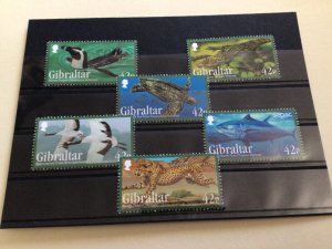 Gibraltar 2013 Endangered Species mint never hinged  stamps  set A14030