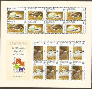 Bermuda #801a NH WWF - Birds M/S