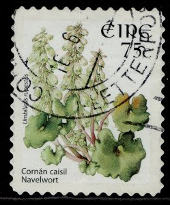 IRELAND QEII SG1698, 2004 75c navelwort, FINE USED.