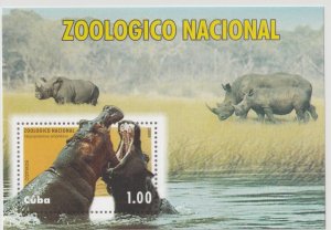 Cuba 2009 Zoo animals hippopotamus S/S Sc 5004 MNH C25