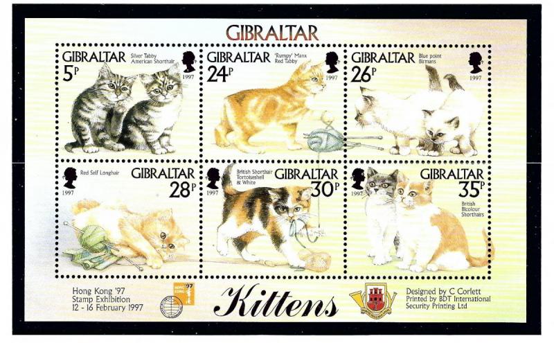 Gibraltar 726 MNH 1997 Kittens sheet of 3