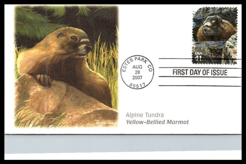 #4198 Alpine Tundra Marmot - Fleetwood Cachet ev20