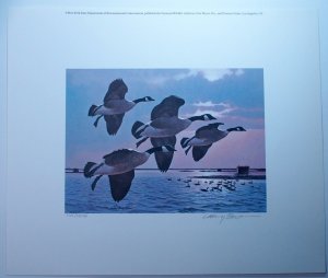 New York Migratory Bird Hunting Permit Stamp Signed Artwork 1985 Ducks USA