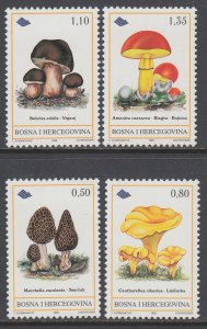 Bosnia and Herzegovina 309-312 Mushrooms MNH VF