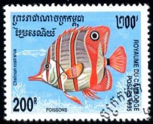 Tropical Fish Copperband Butterflyfish Cambodia SC#1467 Used