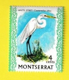 MONTSERRAT SCOTT#234a 1974 4c WHITE EGRET BIRD - MNH