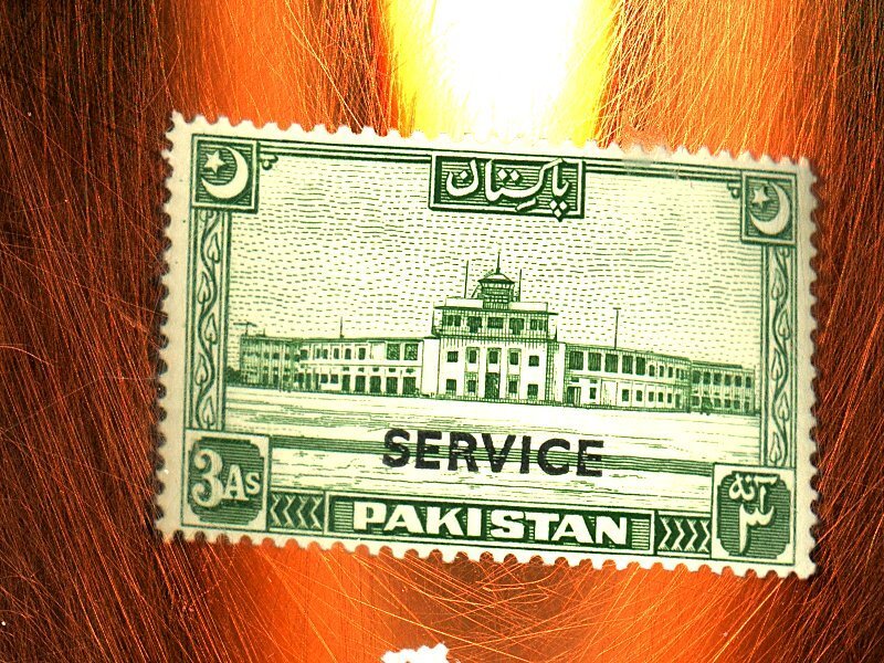 PAKISTAN O20 MINT FVF OG NH Cat $29