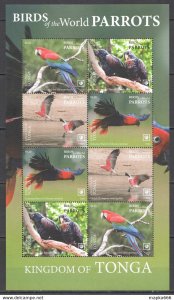 2020 Tonga Parrots Birds Of The World Fauna Kb ** Nw0503