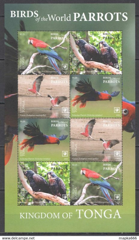 2020 Tonga Parrots Birds Of The World Fauna Kb ** Nw0503