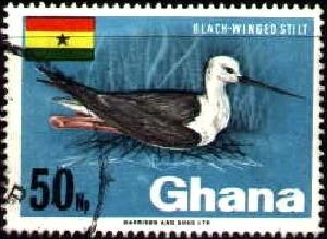 Bird, Black-Winged Stilt, Ghana stamp SC#297 Used