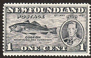 1937 Newfoundland KGVI portrait typeCodfish 1¢ issue MNH Sc# 233 CV $1.00