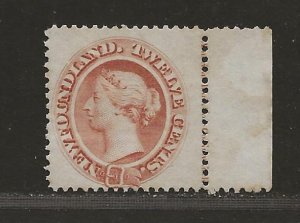 NEWFOUNDLAND  SC# 28  F/MNG