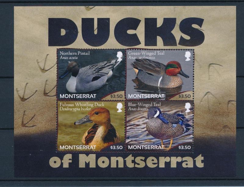 [40124] Montserrat 2012 Birds Vögel Oiseaux Ucelli  Ducks MNH Sheet