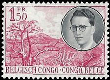 BELGIAN CONGO   #294 MNH (1)