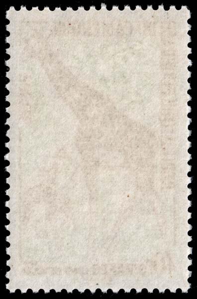 Cameroun - Scott 372 - Mint-Never-Hinged