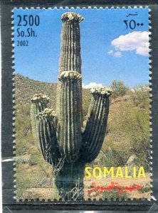 Somalia 2002 CACTUS Set 1 value Perforated Mint (NH)