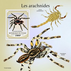 CHAD - 2021 - Arachnids - Perf Souv Sheet - Mint Never Hinged