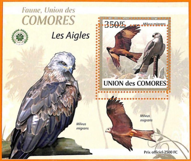 A5589 - COMOROS - ERROR, 2009, MISPERF SOUVENIR SHEET: Birds, Eagles