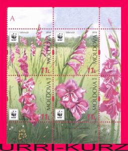 MOLDOVA 2016 Flora Plants WWF Wild Meadow Field Flowers Gladiolus Imbricatus bl