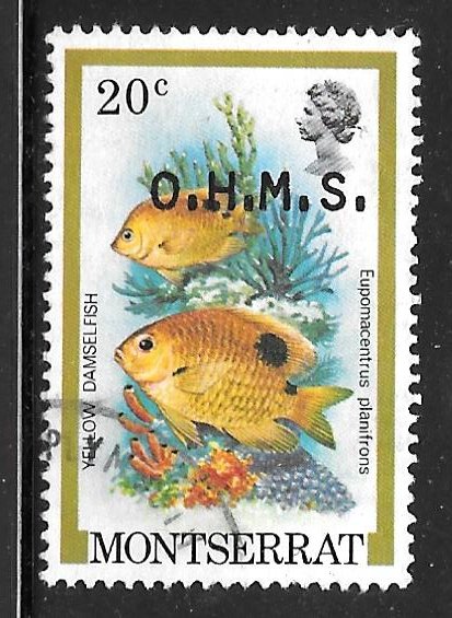 Montserrat O48: 20c Yellow Damselfish, used, VF