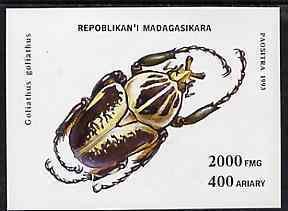 MADAGASCAR - 1993 - Beetle - Perf Miniature Sheet - Mint Never Hinged