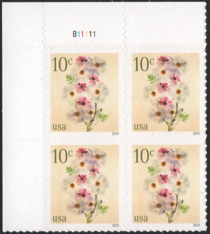 NEW ISSUE: 10¢ Poppies and Coneflowers Plate Block: UL #B11111 (2024) SA