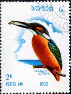 Common Kingfisher (Alcedo atthis), Laos stamp SC#375 used