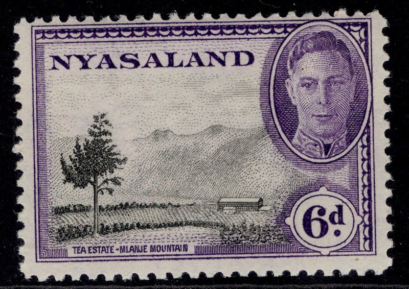 NYASALAND PROTECTORATE GVI SG150, 6d black & violet, LH MINT.