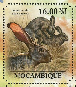 Hares Stamp Lepus Saxatilis Lepus Capensis Wild Animal S/S MNH #4938-4943