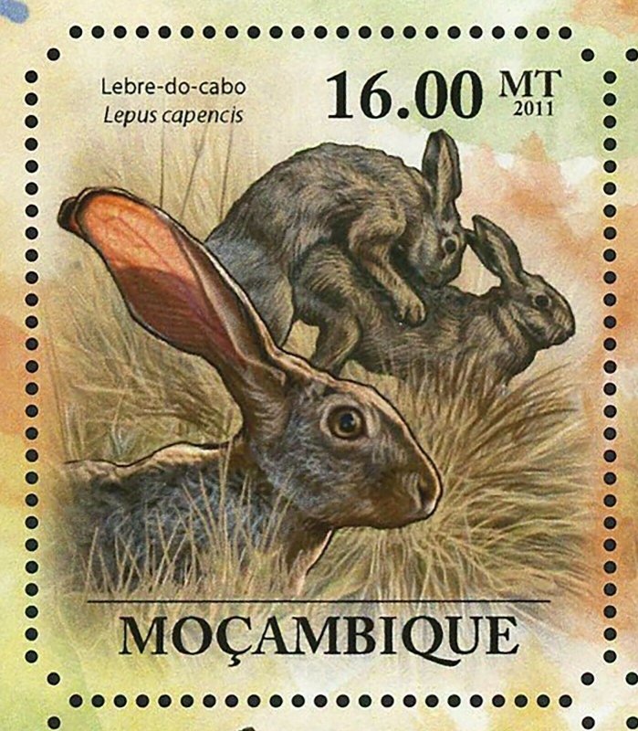 Hares Stamp Lepus Saxatilis Lepus Capensis Wild Animal S/S MNH #4938-4943