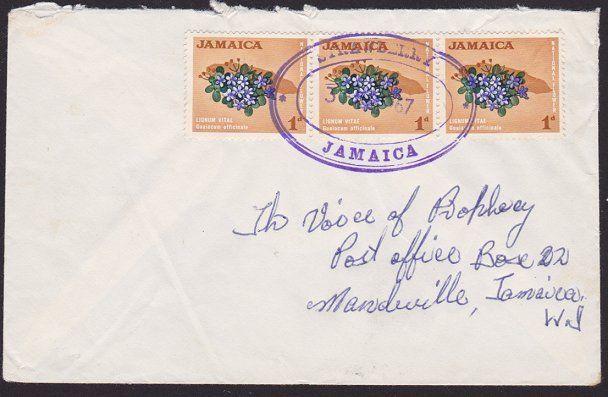 JAMAICA 1967 local cover STRAWBERRY temporary rubber datestamp..............5123