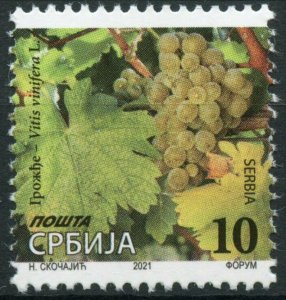 Serbia 2021 MNH Definitives Stamps Fruits Grapes Nature 1v Set