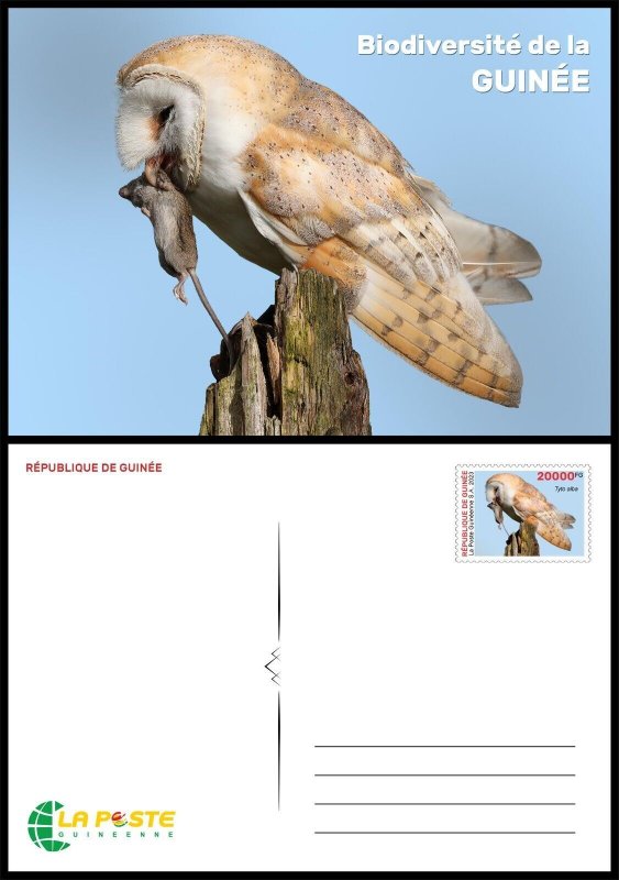 GUINEA 2023 STATIONERY CARD - BIRDS BIRD OWLS OWL OWLS OWL BIRDS-