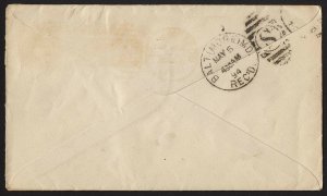 E32 U.S. Scott #E3 orange Special Delivery cover May 4, 1894. SCV = $200