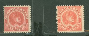 Newfoundland #56-57 Unused Single