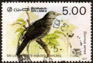 Sri Lanka 838 - Used - 5r White-headed Starling (1987) (cv $1.75)