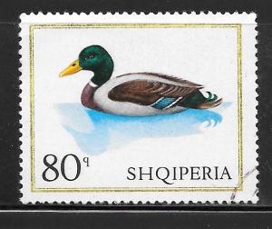 Albania 1093: 80q Mallard Duck, CTO, VF